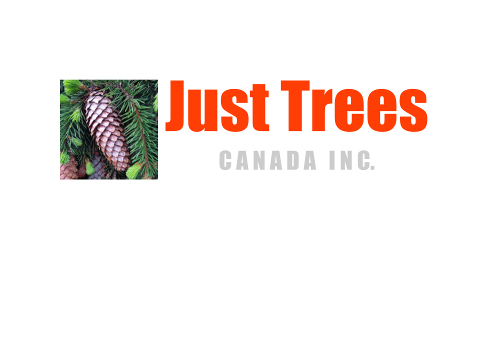 Just Trees Canada : Arborist Services Edmonton