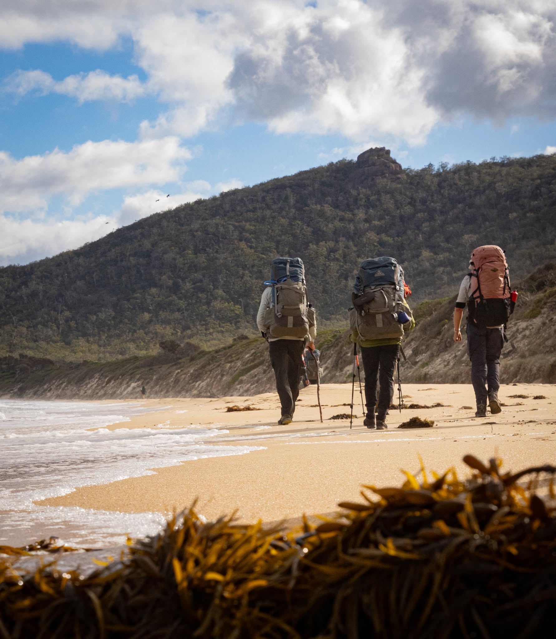 hikers with backpacks 