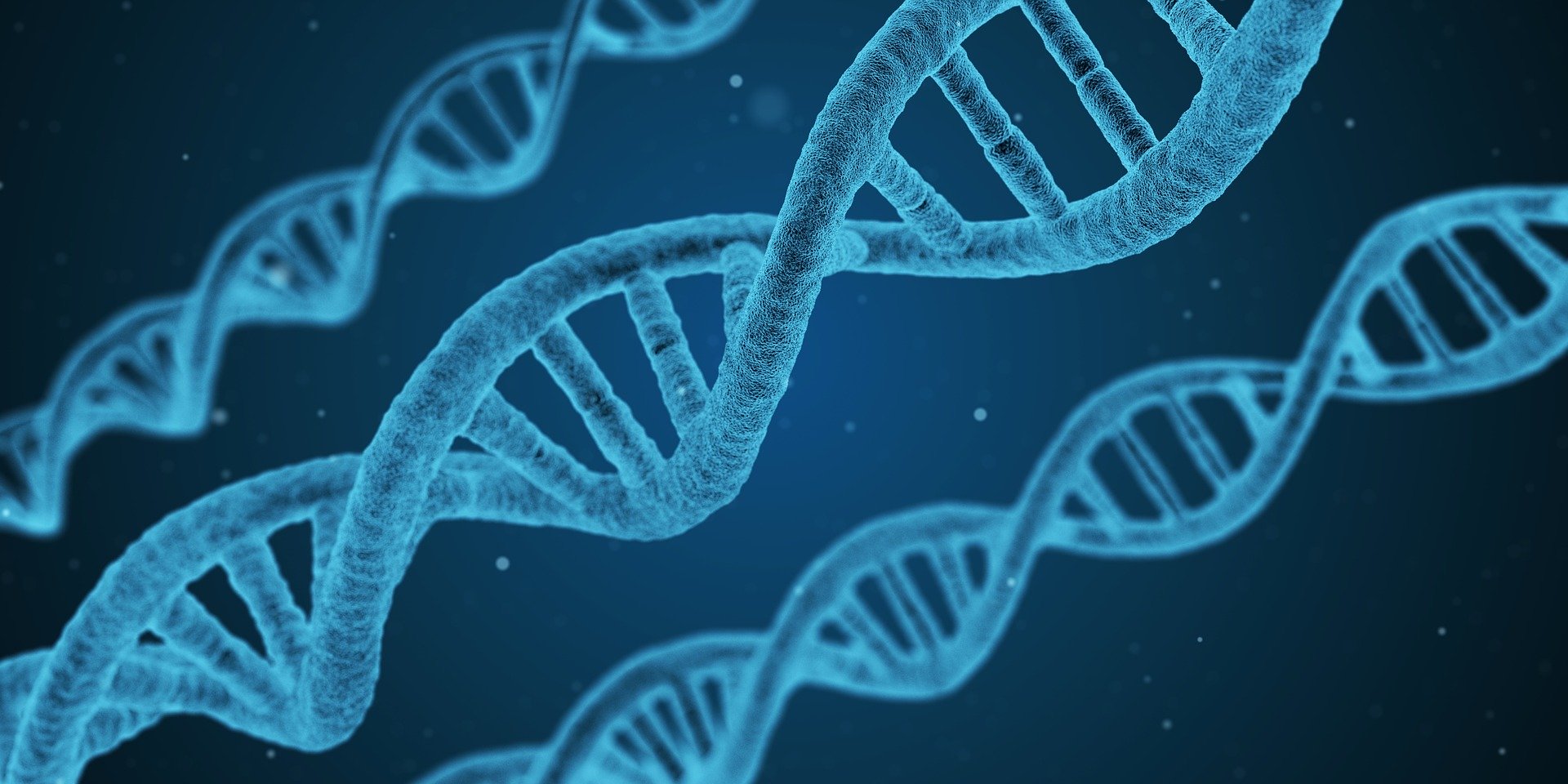 https://0901.nccdn.net/4_2/000/000/011/751/dna-1811955_1920.jpg