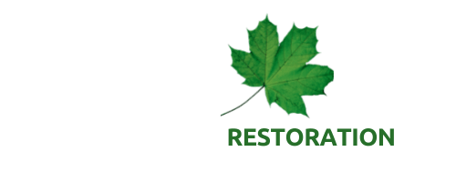 ECO BUILDING RESTORATION