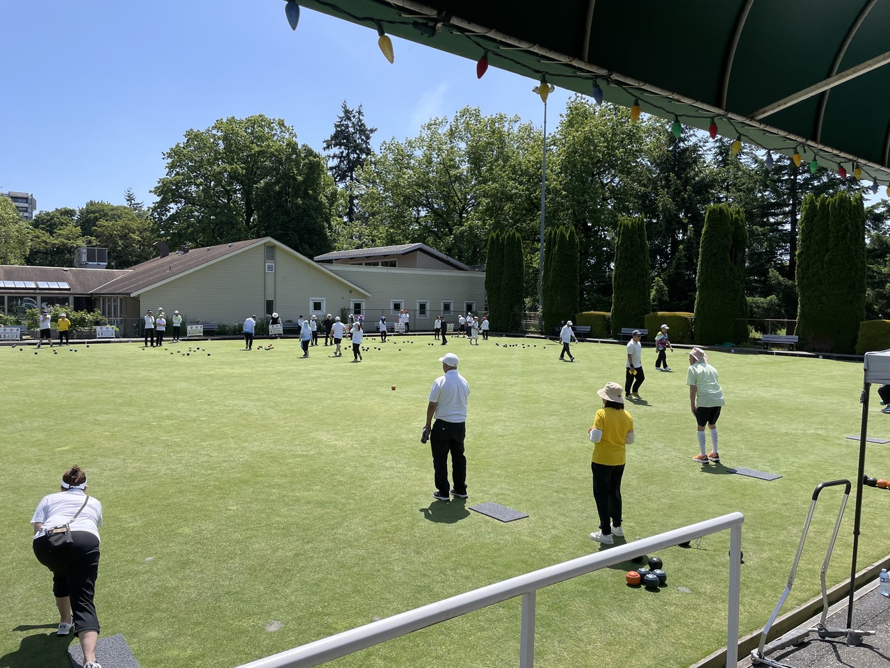 Bowling ball on green lawn with white pins in a sheltered area, surrounded by trees on a sunny day.