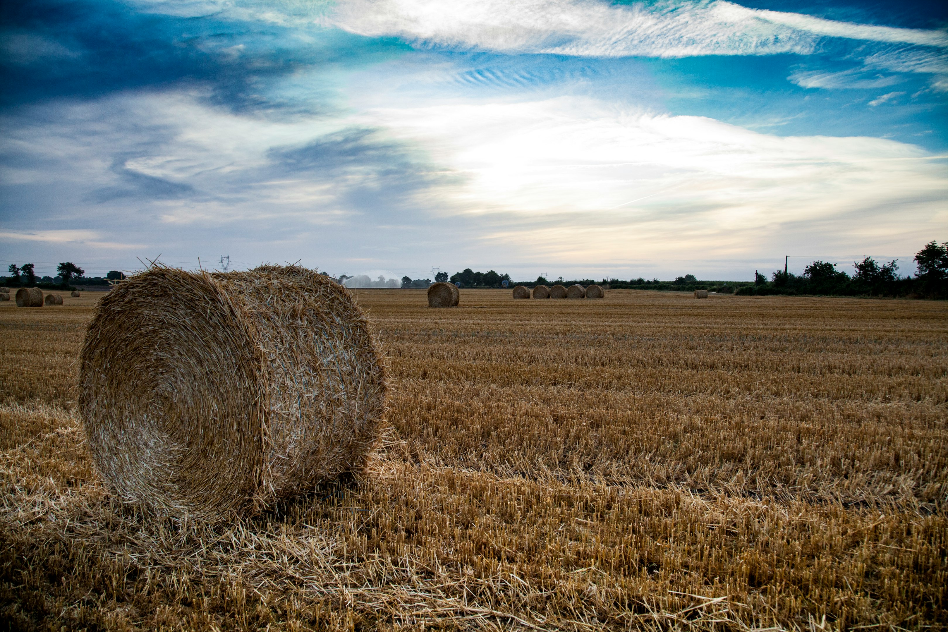 brown grass field under blue sky during daytime