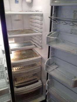 Fridge Cleaning Before