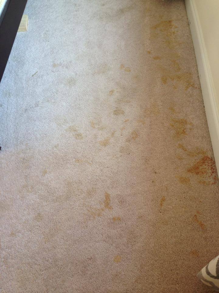 Carpet with Stains and Discoloration Before Cleaning