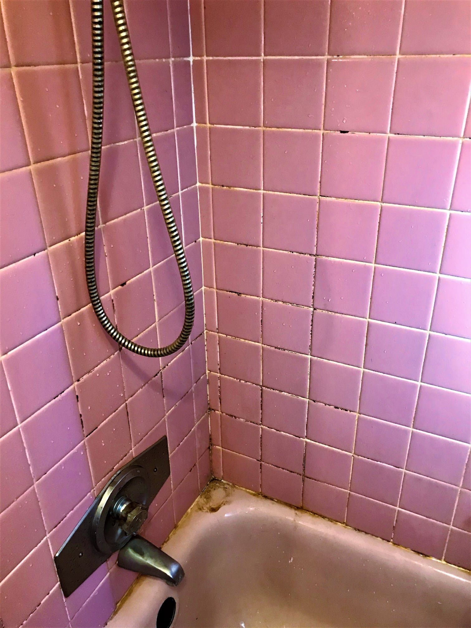 Dirty Shower Tiles And Grout Cleaning