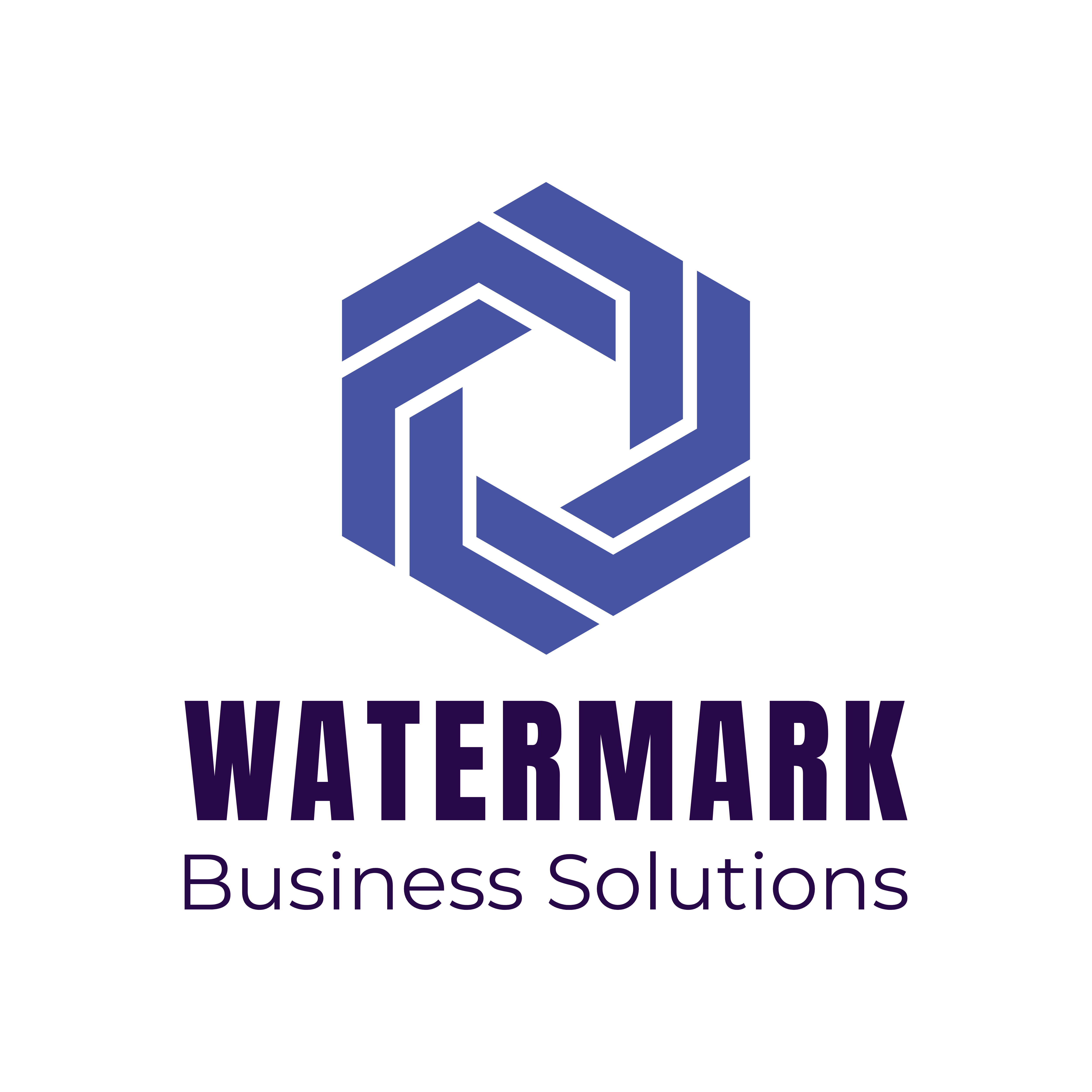 Watermark Business Solutions Group, LLC