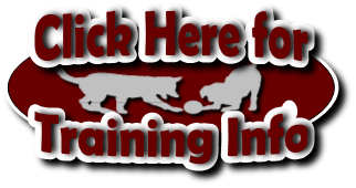 Click to go to the Dog Training page
