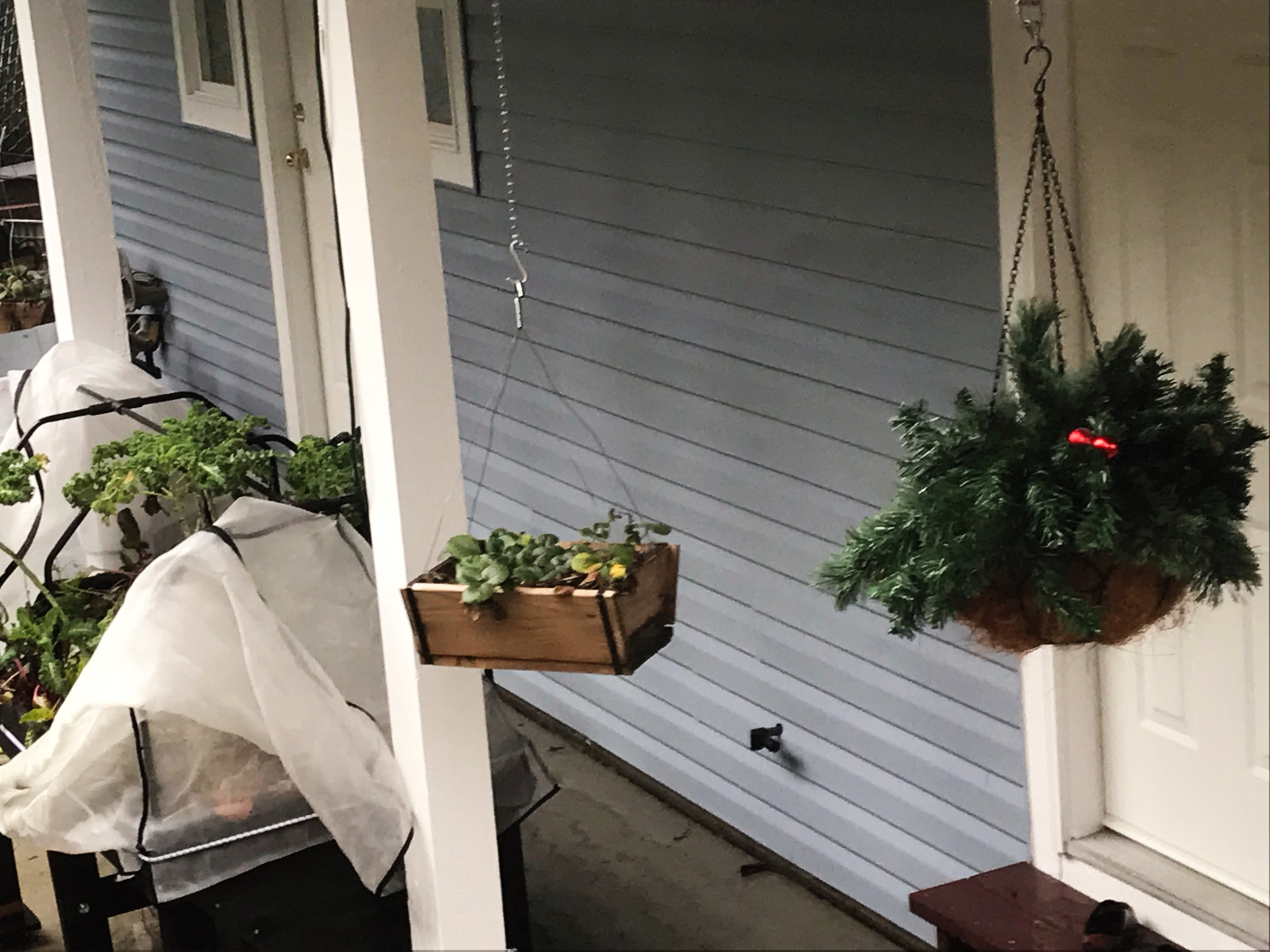 replacement of vinyl siding