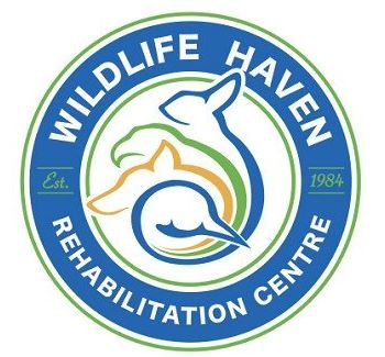 WILDLIFE HAVEN