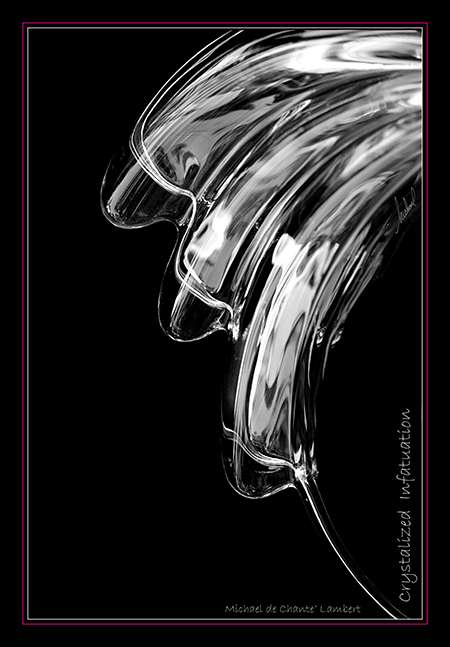 Macro Photography (16x23)
Photography: California State University at Chico
<< Crystalized Infatuation >>