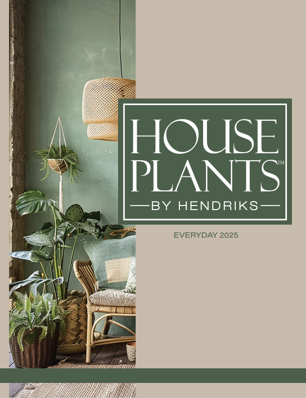 House Plants by Hendriks Everyday 2025 Catalog Cover