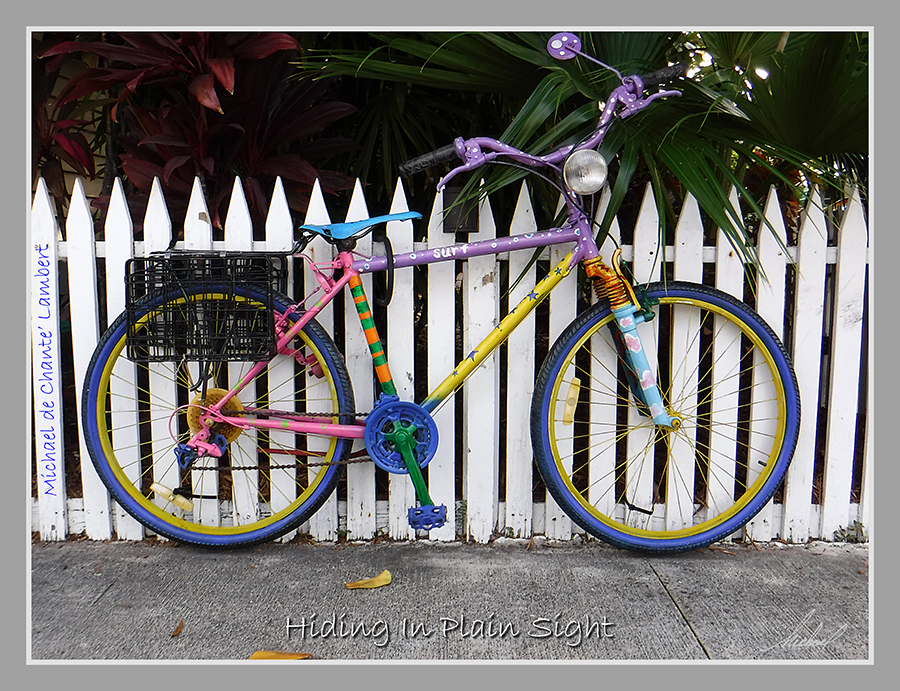 Situational Photography (16x12) SF
Key West, Florida
<< Hiding In Plain Sight >>