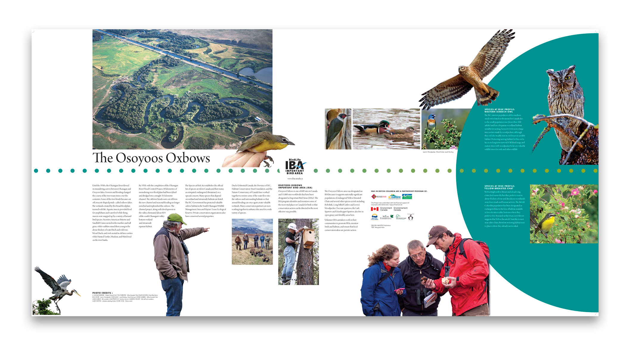 Nature BC, Birding Site, Road 22 South Okanagan, 1 of 10