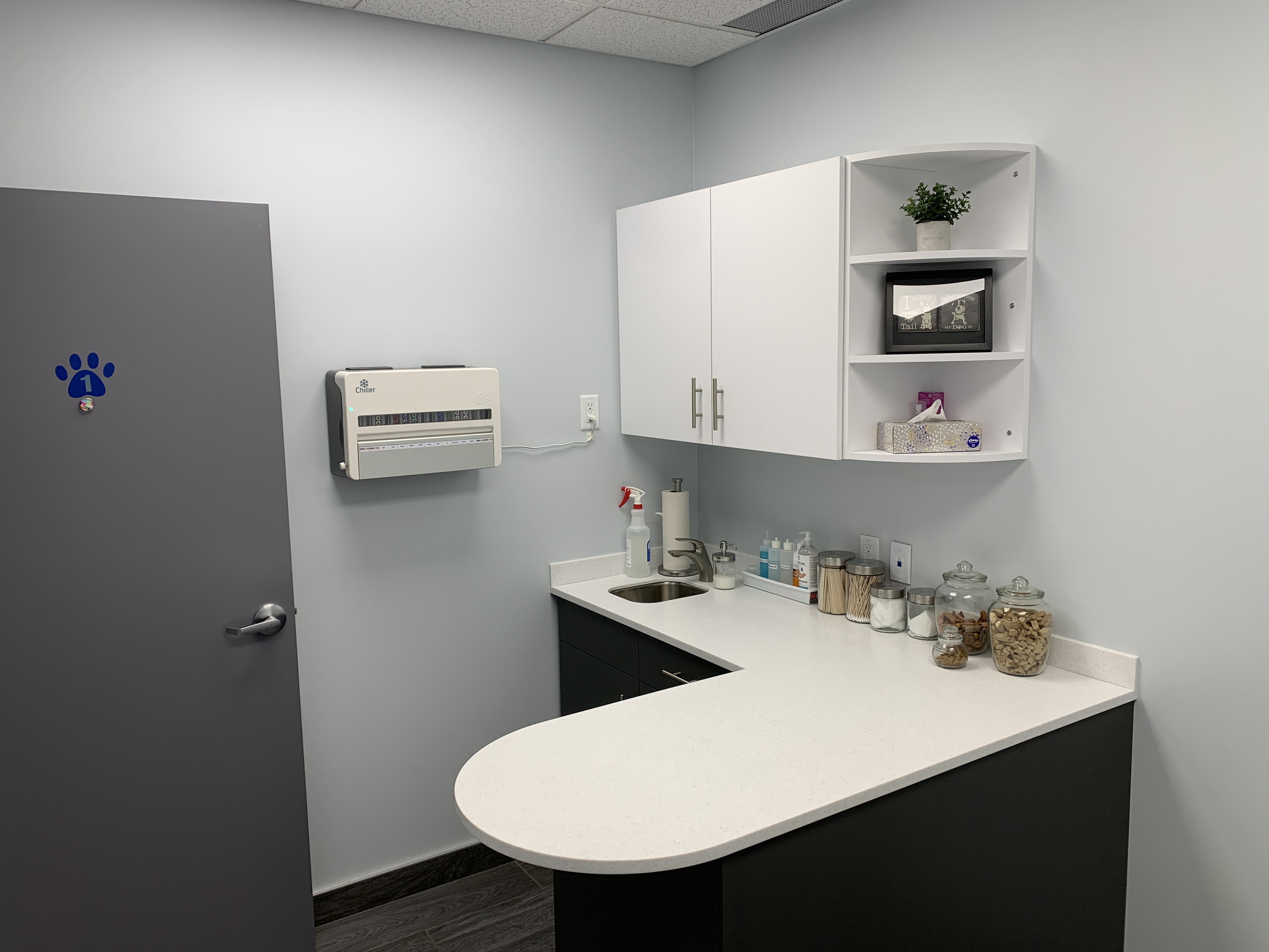 East Plains Animal Hospital
Exam Room