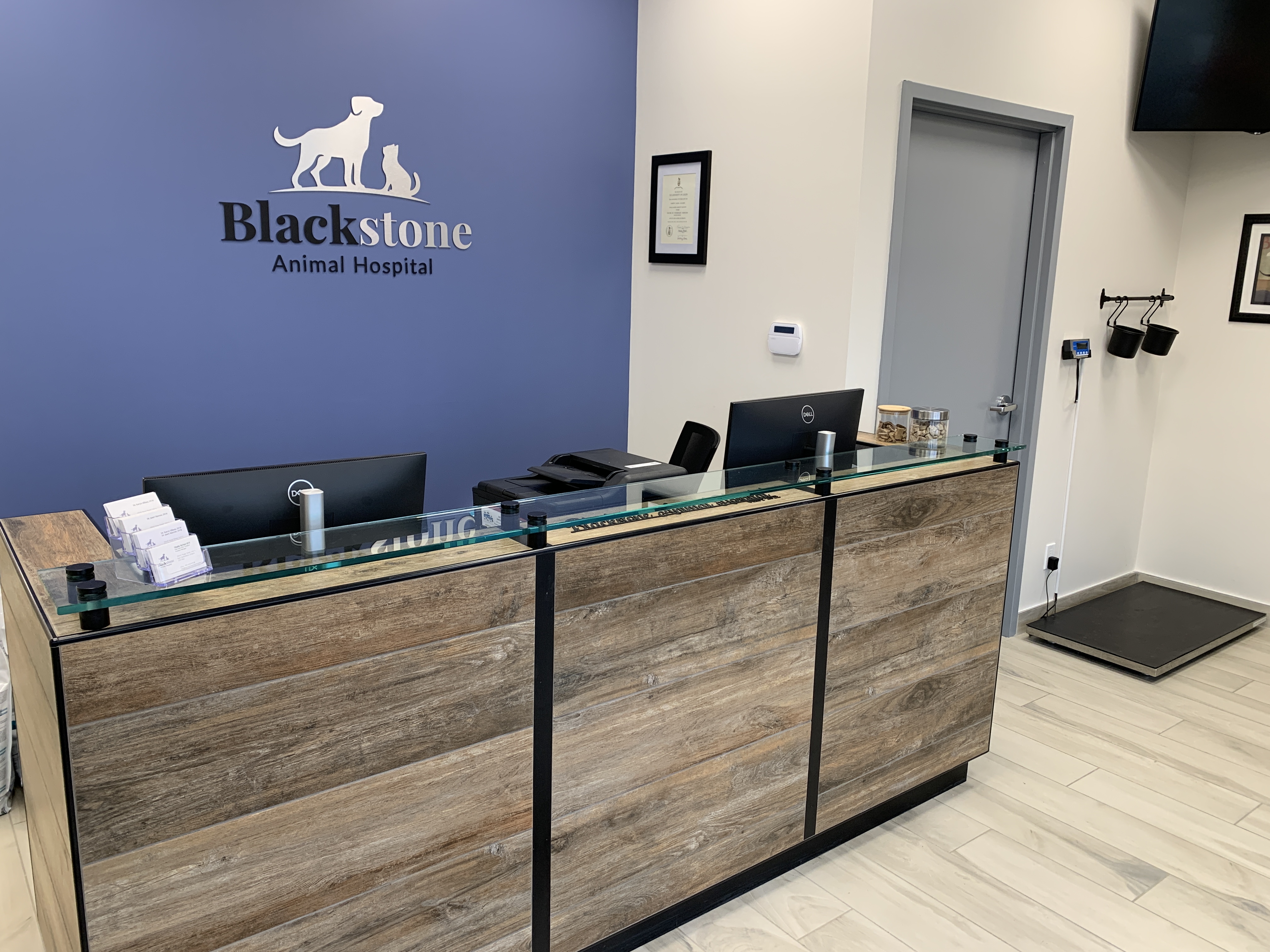 Blackstone Animal Hospital
Reception