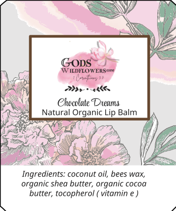 https://0901.nccdn.net/4_2/000/000/017/e75/organic-lip-balm-chocolate-dreams.png