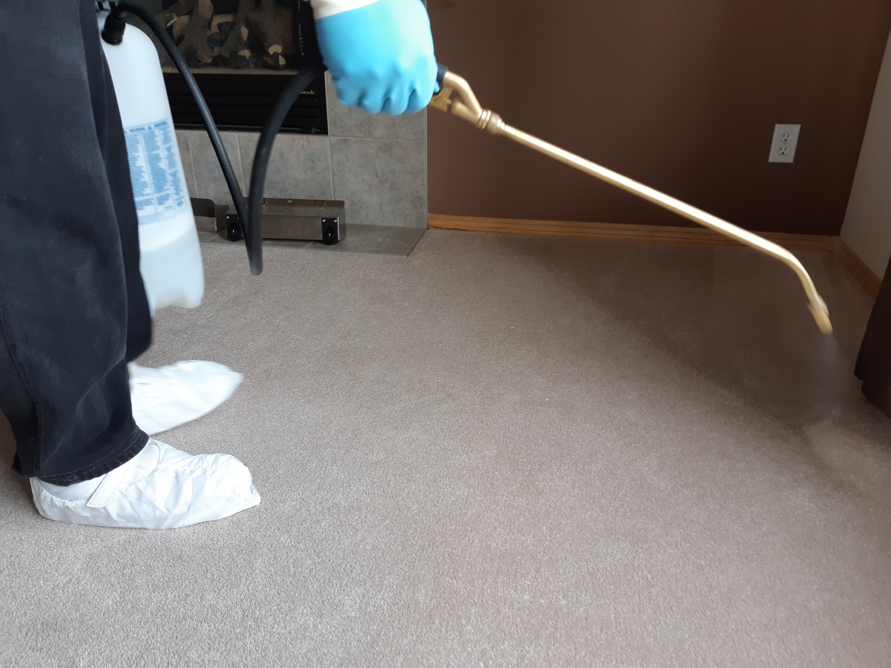 MGOcleans Services