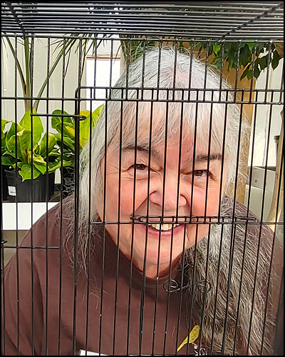 https://0901.nccdn.net/4_2/000/000/019/c2c/20240928_115125_r.jpg
