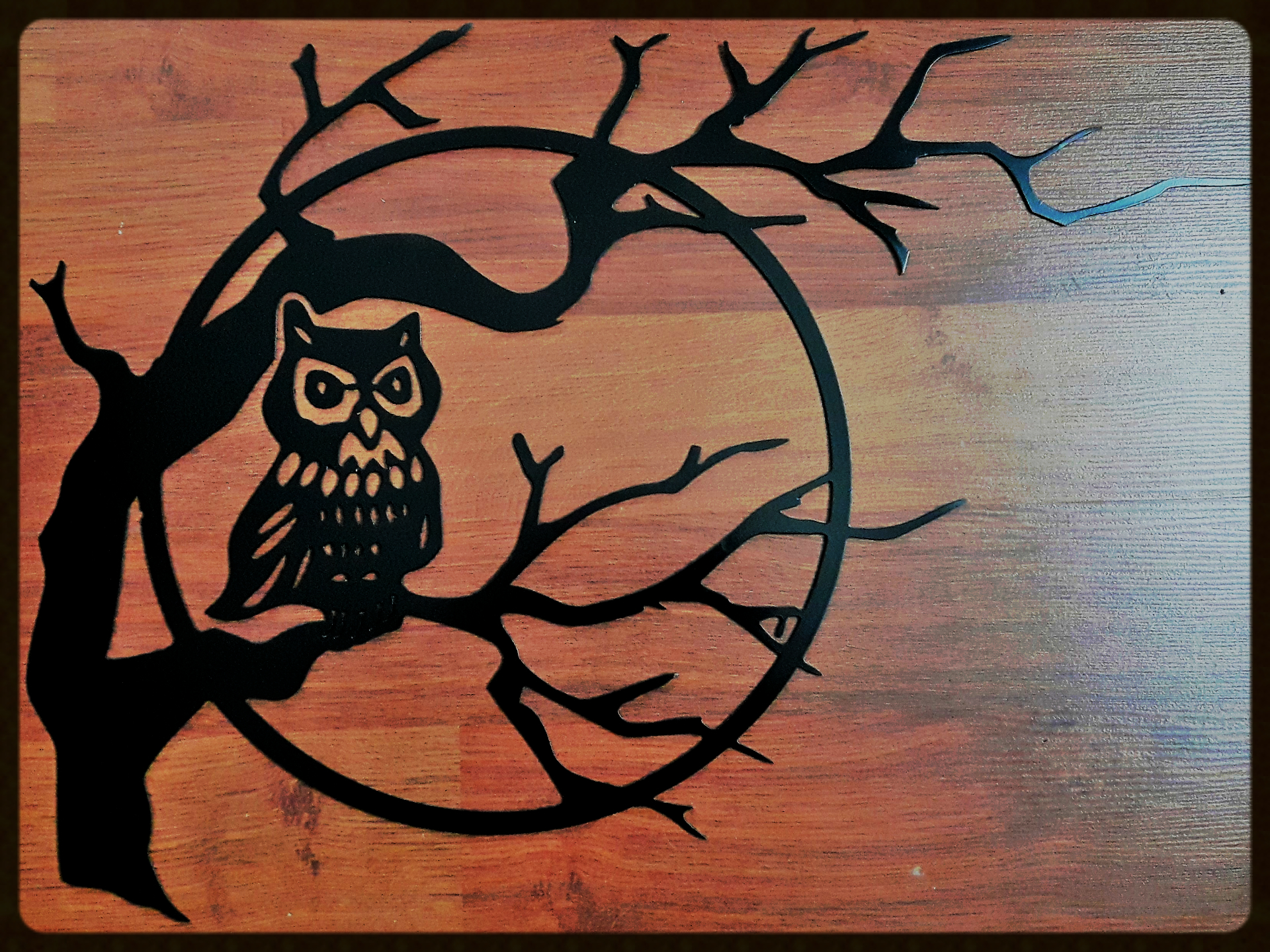 Metal Art, Owl, Campbell river BC, Vancouver island BC, Vancouver BC, Victoria BC, British Columbia,Alberta