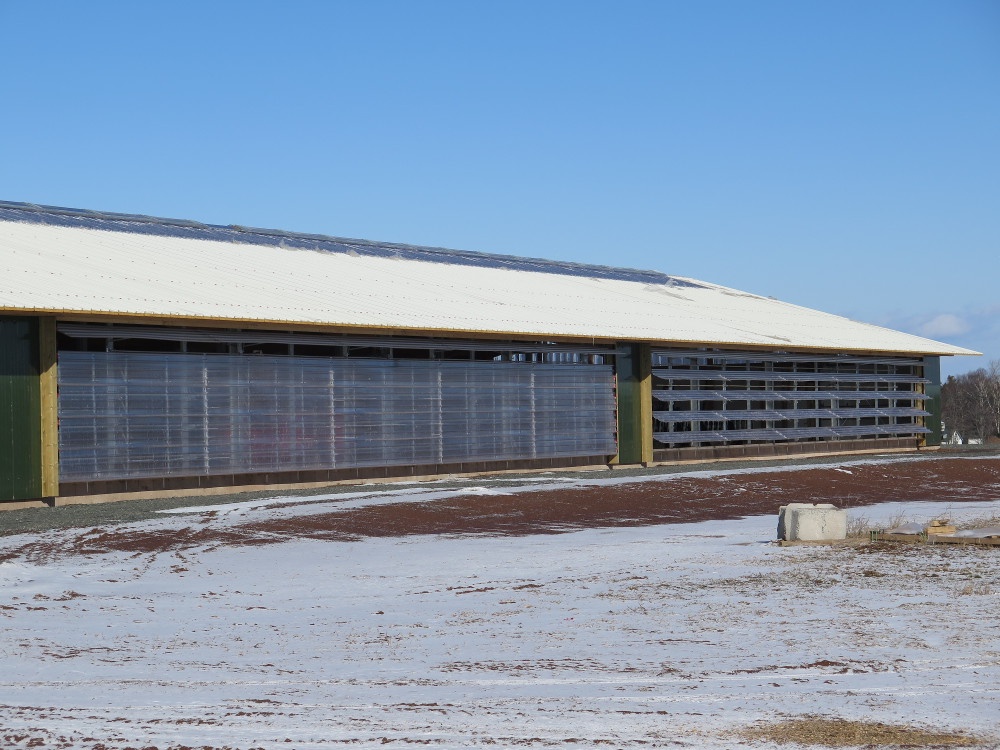 2017 Nova Scotia - Dairy barn