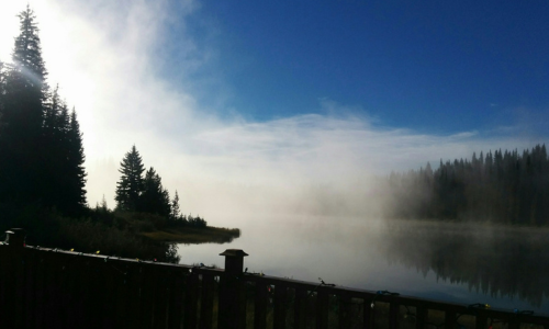Forest Lake with Fog