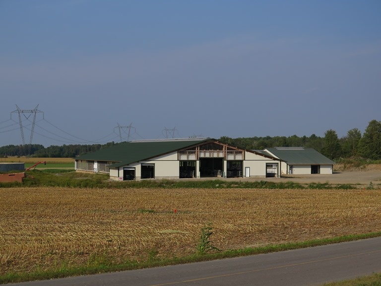 2014 Dundee - Dairy barn