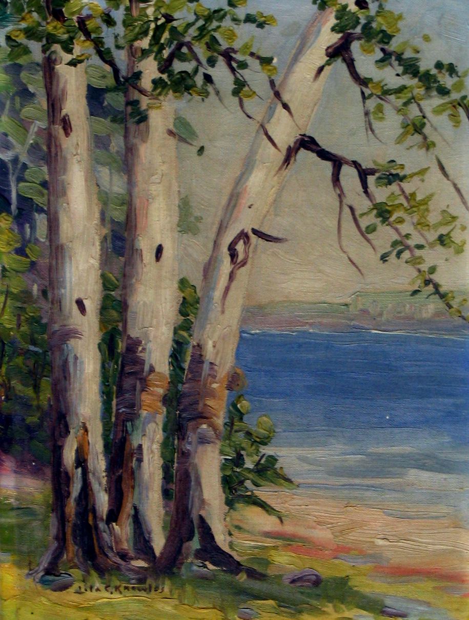 Untitled "Birch Study", Oil on canvas