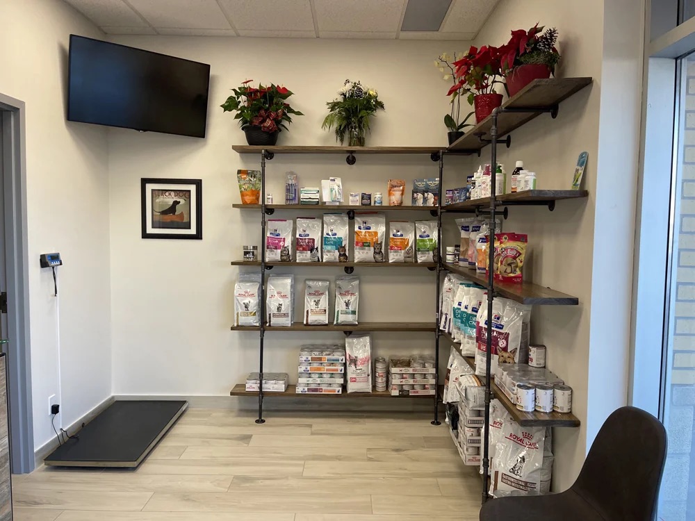 Blackstone Animal Hospital
Reception