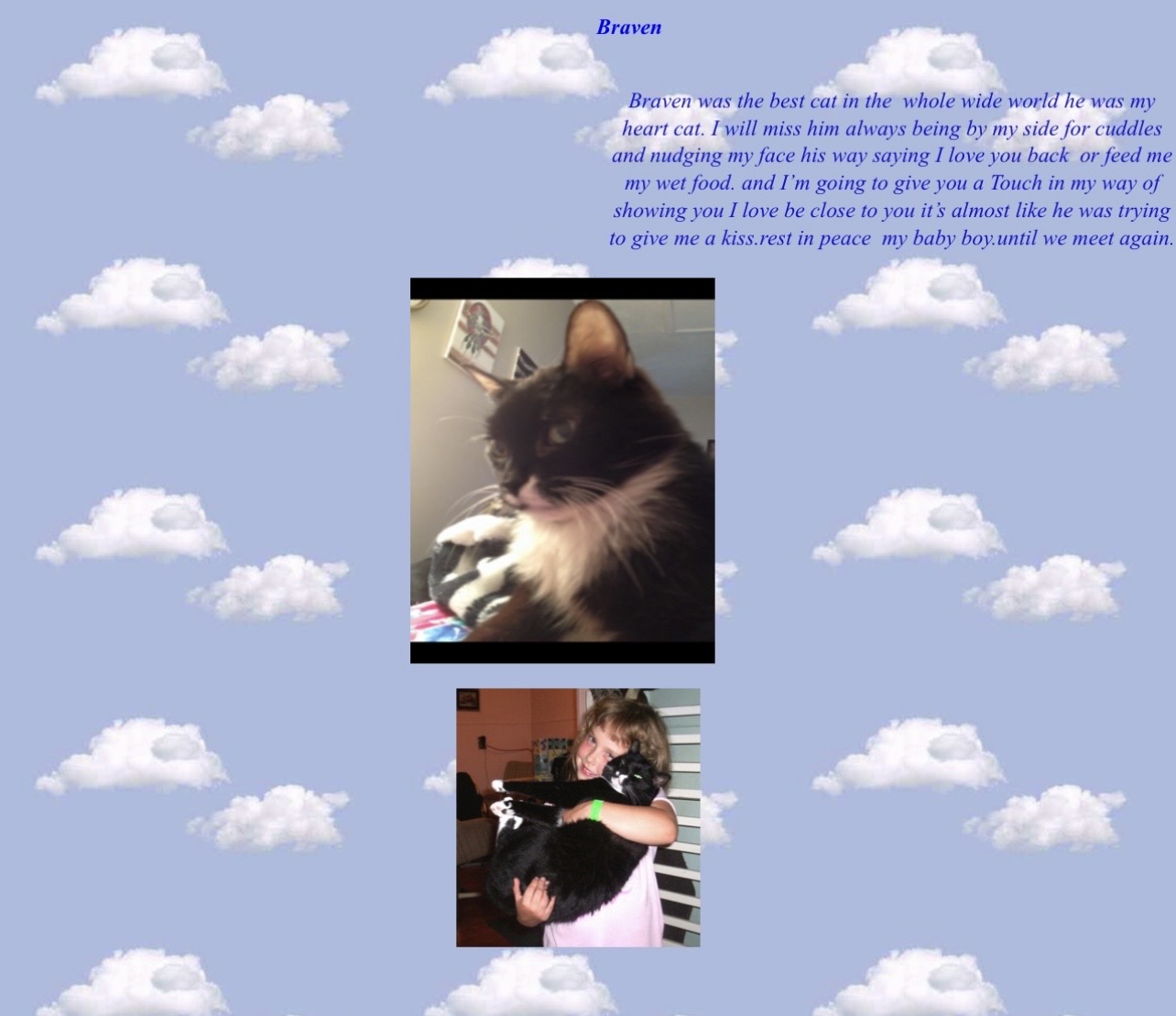 Braven my sweet boy.you lived a long great life of 19 years