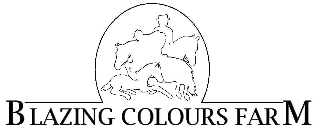 Blazing Colours Farm
