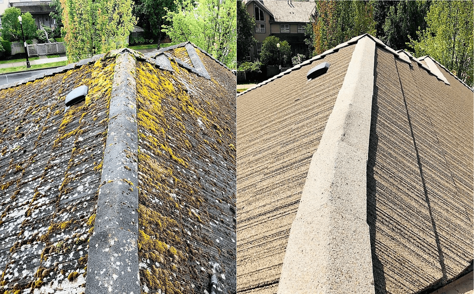 before and after tile roof is pressure washed 
