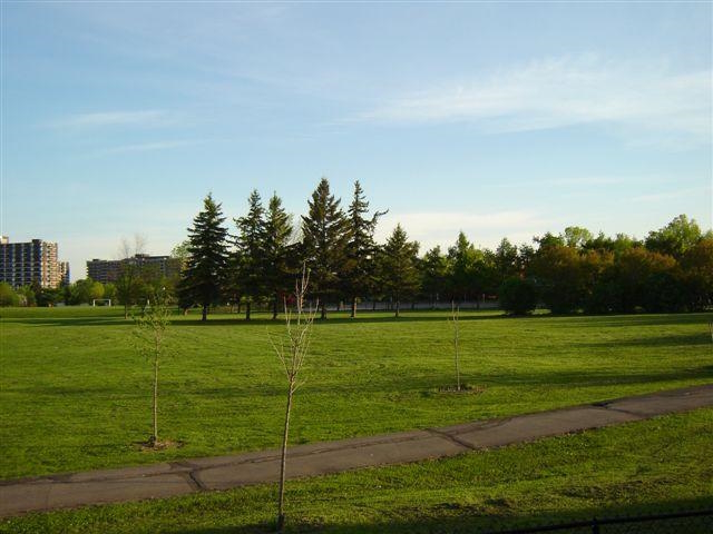 https://0901.nccdn.net/4_2/000/000/01e/20c/view-from-backyard.jpg