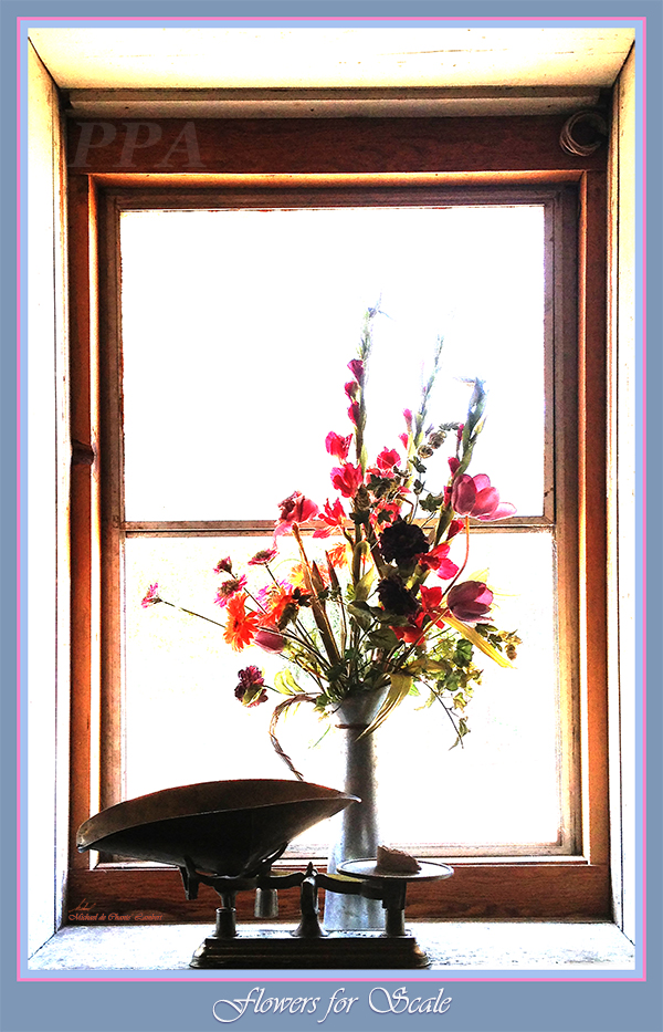 Situational Photography (31x20) 
New Clairvaux Winery, Vina, California
 << Flowers for Scale >>