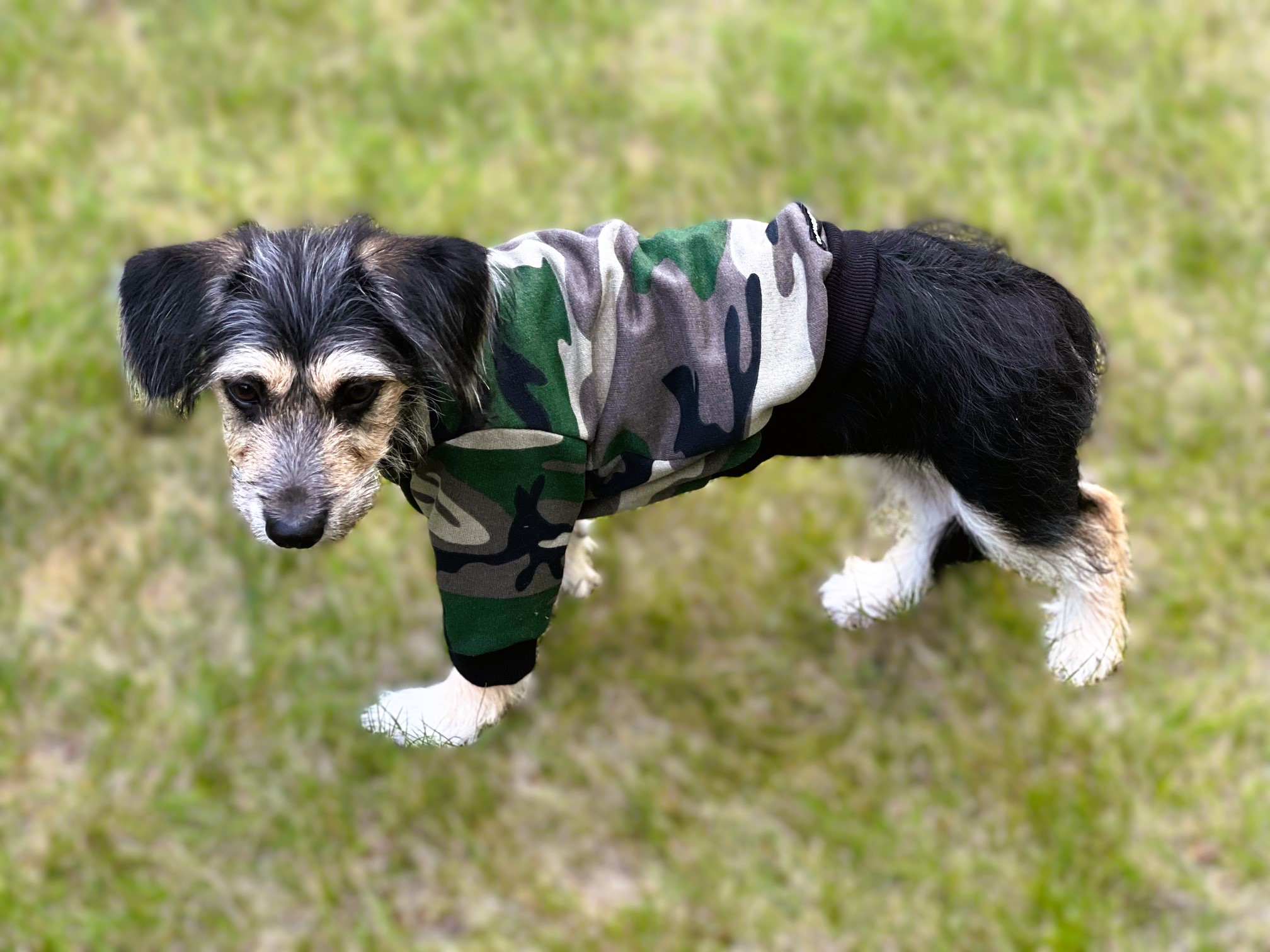 Camo Sweatshirt - Green