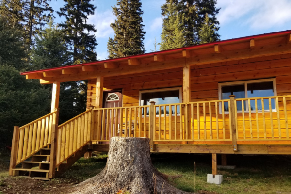 Wood Cabin with two windows