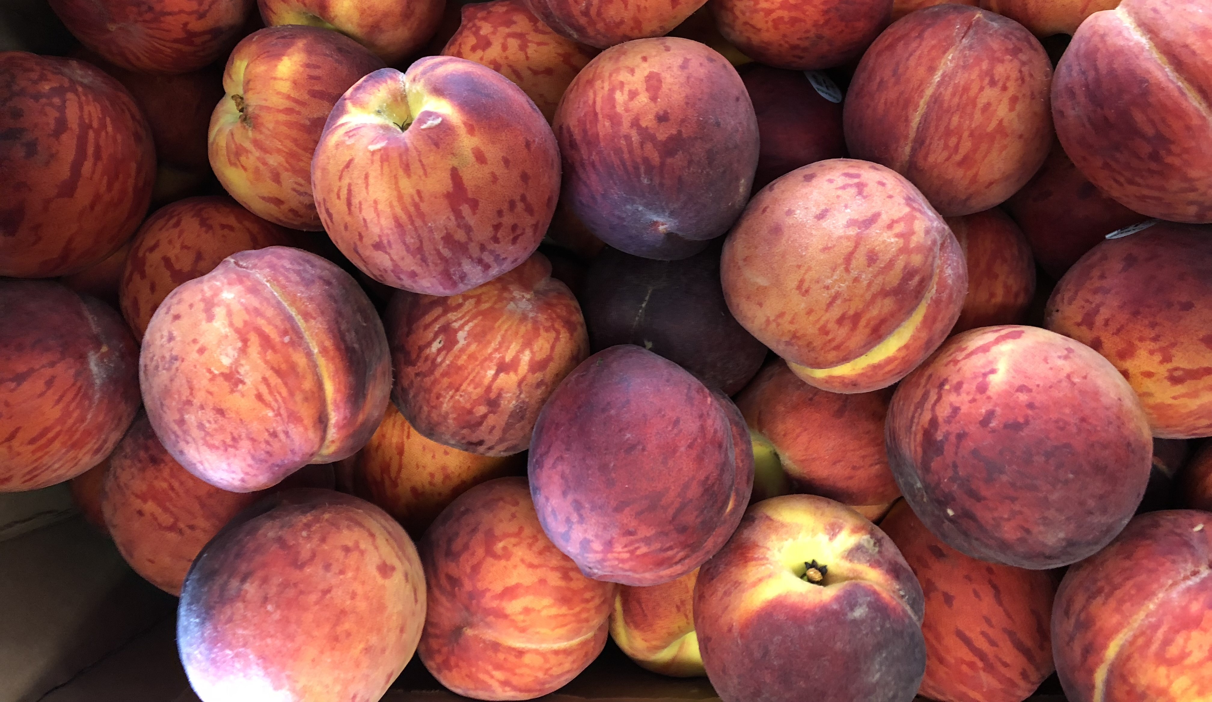 Nectarines
