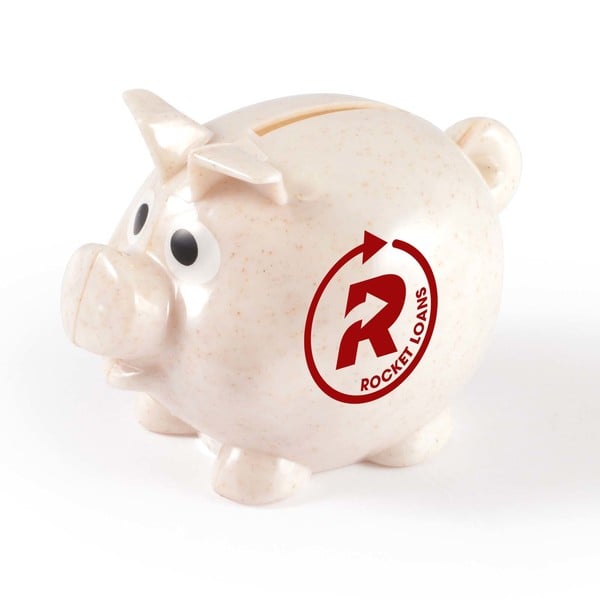Smallest Eco Pig Bank LL3600