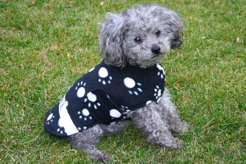 Pawpular Fleece Jacket