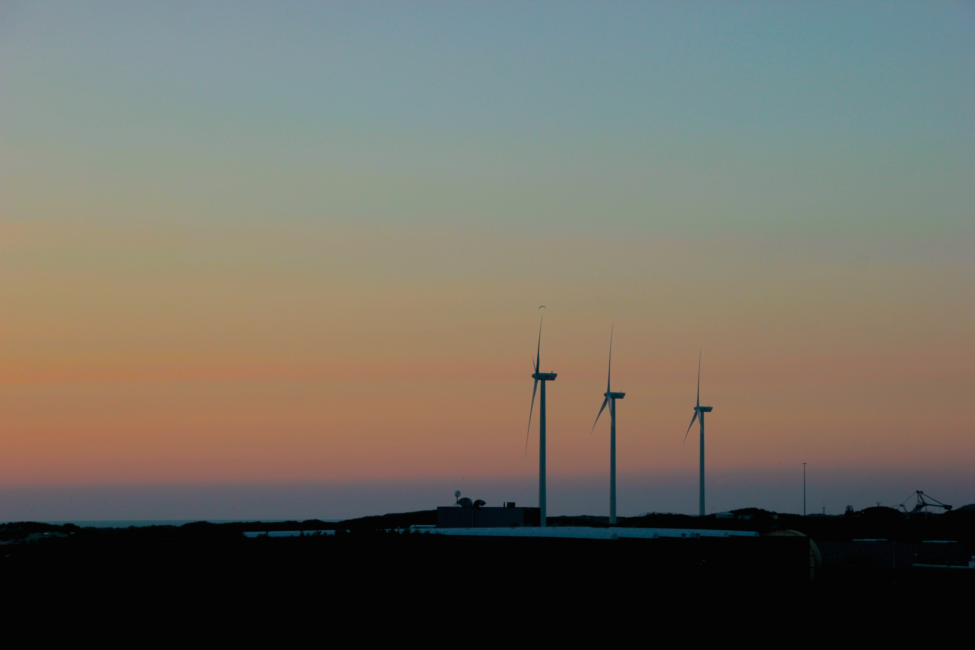 silhouette of wind turbines