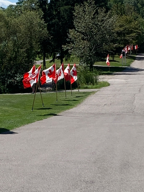 https://0901.nccdn.net/4_2/000/000/020/0be/veterans-helping-veterans-golf-tournament-2019-4.jpg