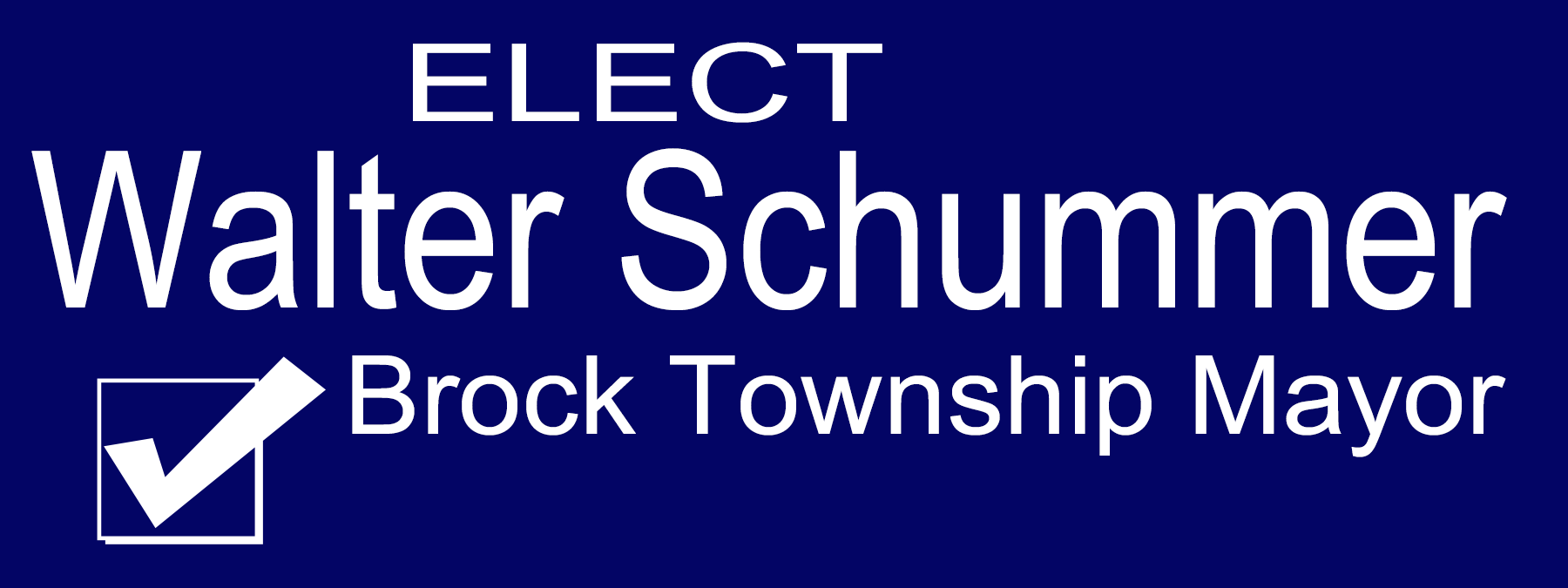 Walter Schummer For Mayor