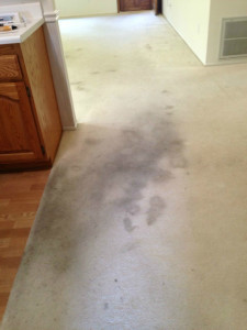 https://0901.nccdn.net/4_2/000/000/023/130/Carpet-Cleaning-before-225x300.jpg