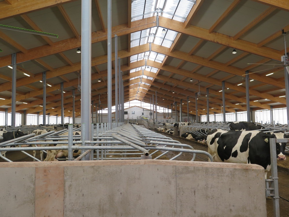 2017 PEI - Dairy barn