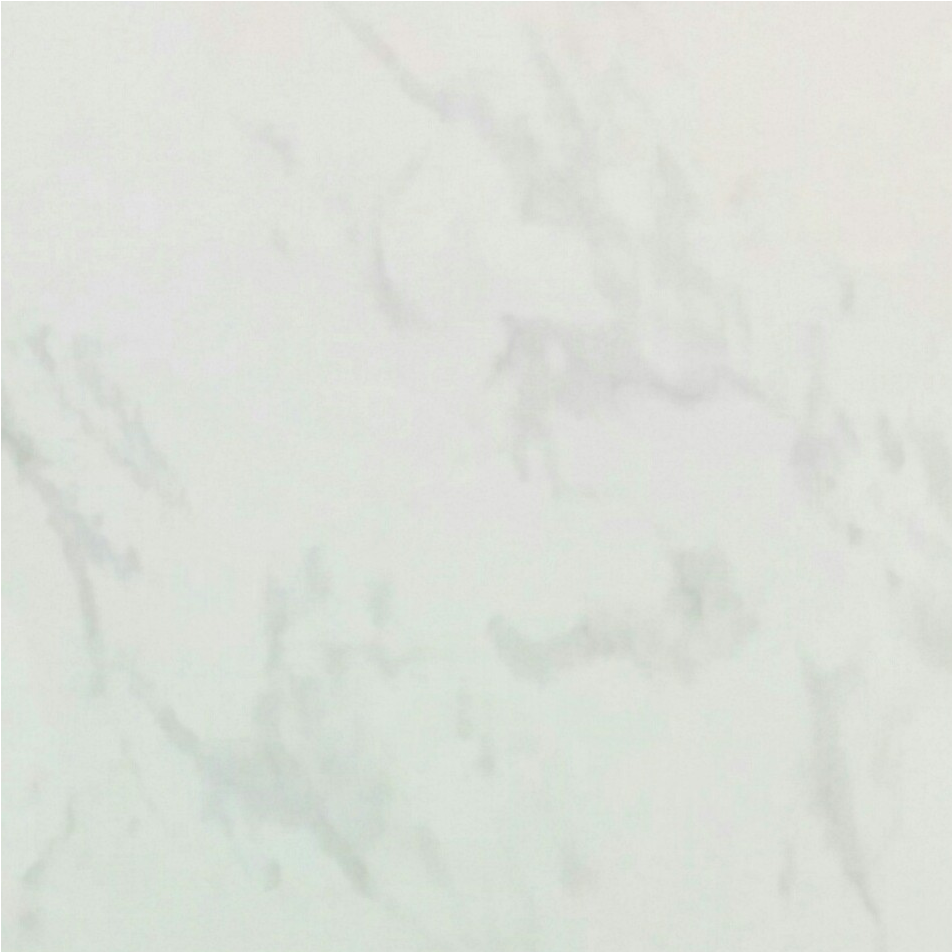Bianco Carrara 24" x 24"