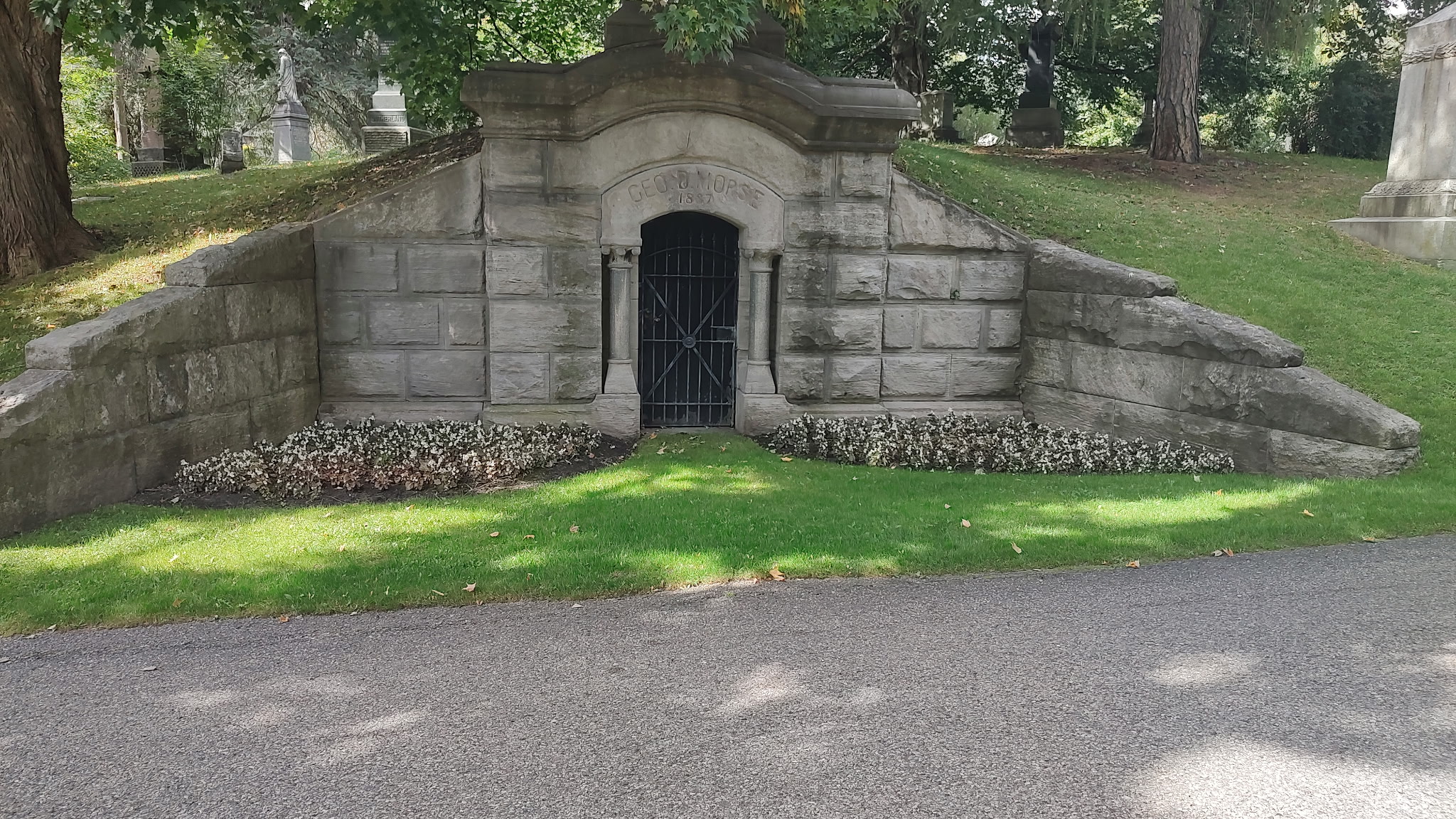 a large group of fish swimming in the water
