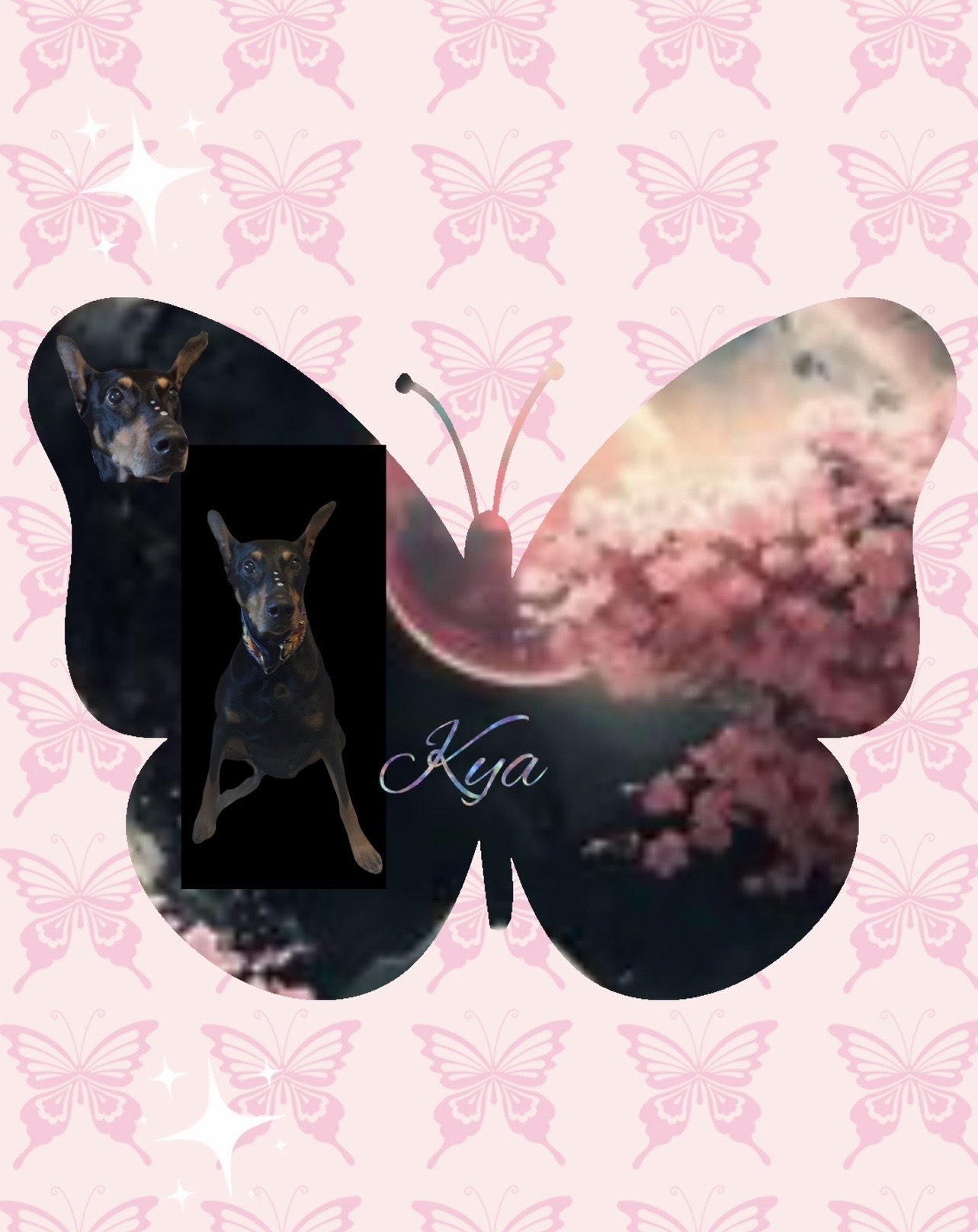 Kya’s a butterfly ❤️