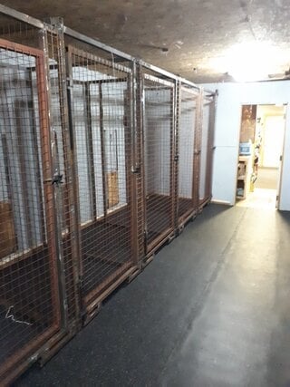 https://0901.nccdn.net/4_2/000/000/023/130/kennels.jpg