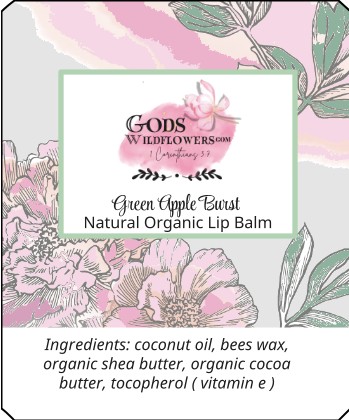 https://0901.nccdn.net/4_2/000/000/023/130/organic-lip-balm-green-apple-burst.png