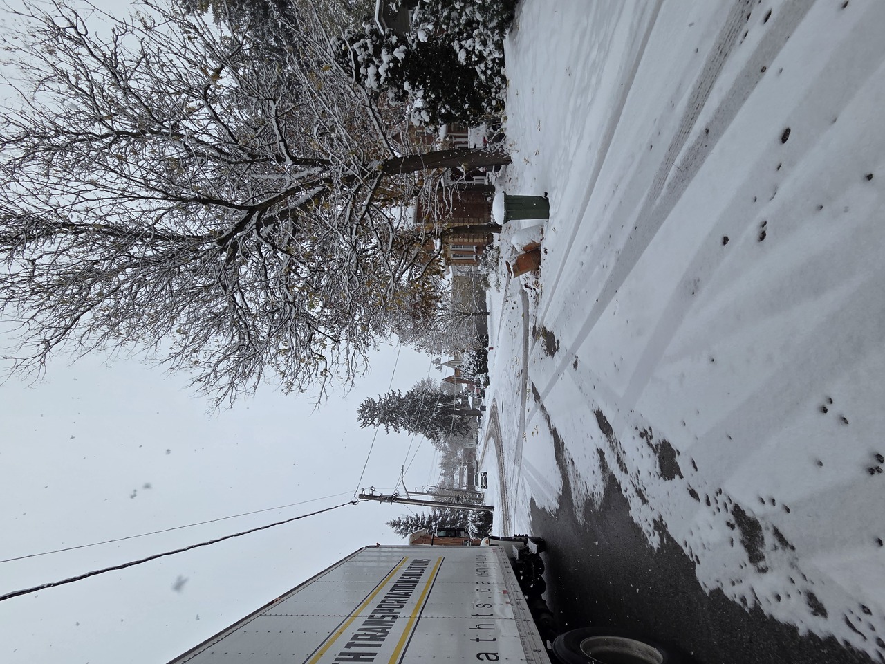 truck  driver making deliveries