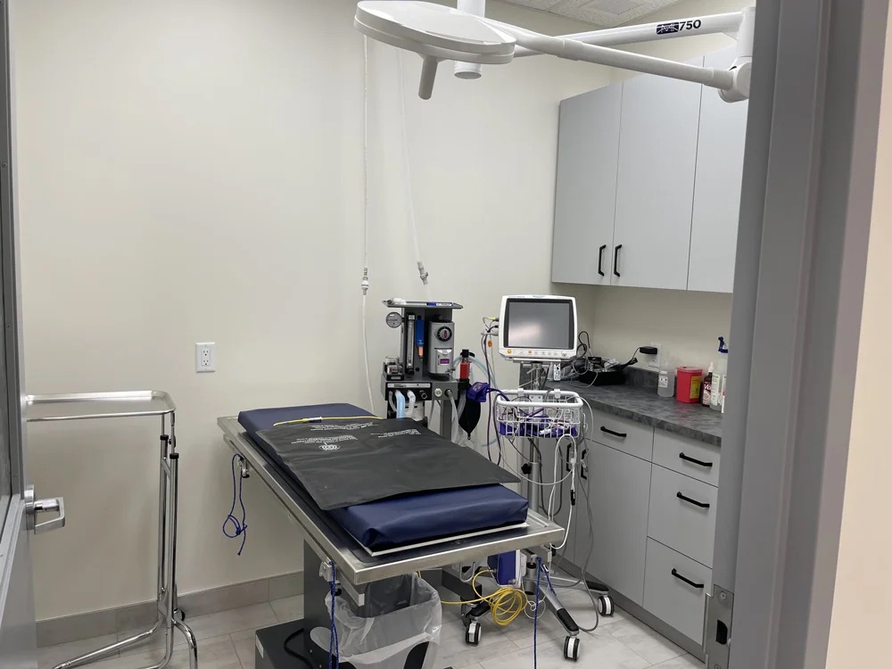 Blackstone Animal Hospital
Surgery